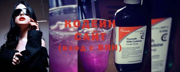 прущие крисы Пересвет