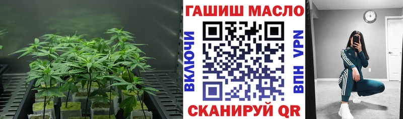 hydra ссылка Сычёвка ТГК вейп с тгк цены наркотик