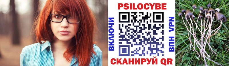 гидра маркетплейс  Сычёвка  Псилоцибиновые грибы Psilocybine cubensis  купить  